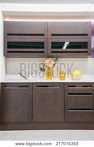 view of cozy modern kitchen interior with furniture