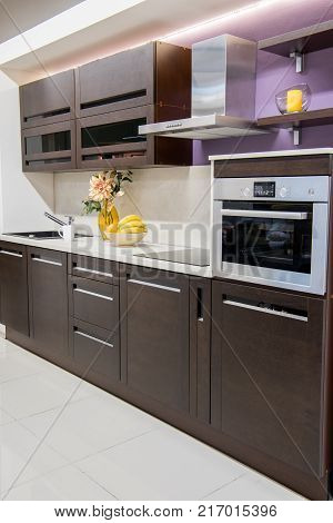 view of cozy modern kitchen interior with furniture