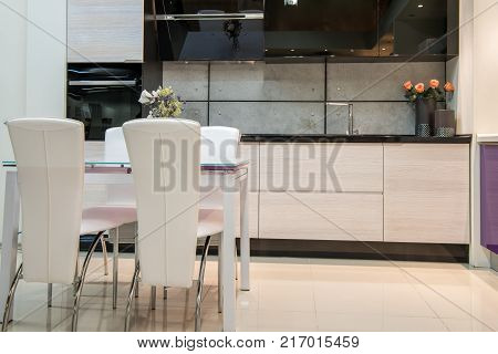 view of cozy modern kitchen interior with furniture