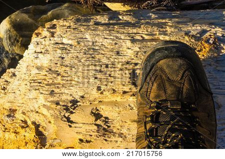 hiking boots and driftwood, washed up by the sea on a pebble beach on a warm summer day
