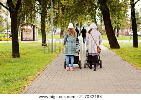 Two Young Moms Girlfriends Are Walking With Young Children In Strollers For An Autumn Park. Women On