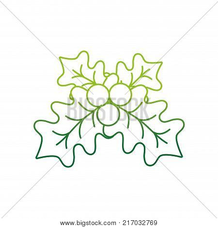 color line tropical natural leaves botany plant vector illustration