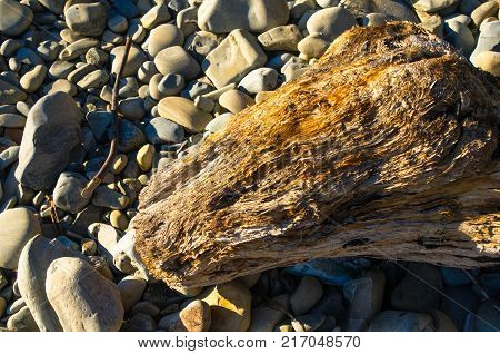 driftwood, washed up by the sea on a pebble beach on a warm summer day