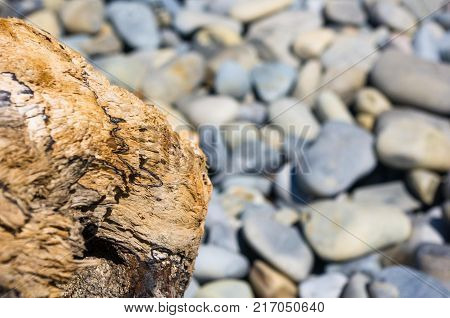 driftwood, washed up by the sea on a pebble beach on a warm summer day