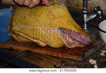 Cutting The Carcass Of A Musk Duck. Poultry Meat. Muscovy Duck. Cutting A Bird. Musk Ducks Plucked C