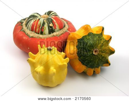 Decorazione zucca