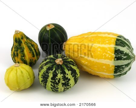 Decorazione zucca