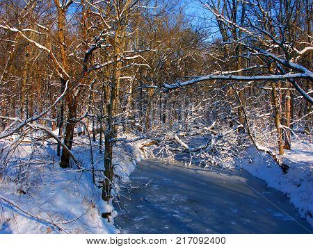 Shadows cast over a frozen creek at Allerton Park in central Illinois