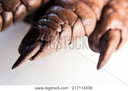 Macro image. Claws on the monster's fingers.