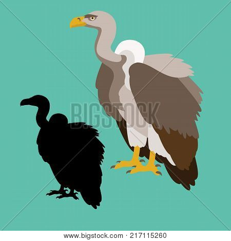 white rumped vultures black silhouette vector illustration flat style set