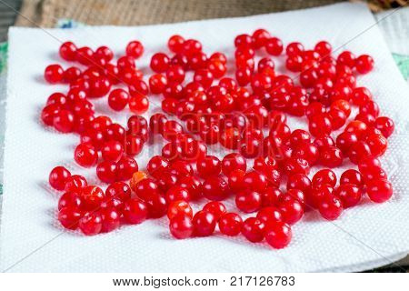 Berries of a viburnum on a napkin