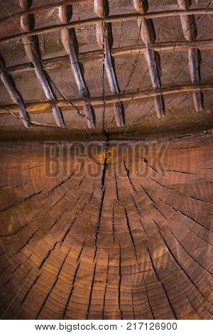 Abstract background of old worn wooden boards of different colors close up