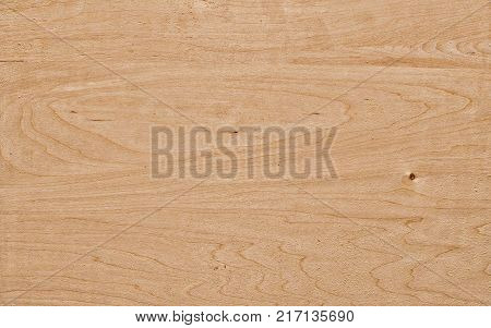 Sheet Of Plywood Made Of Lime Wood