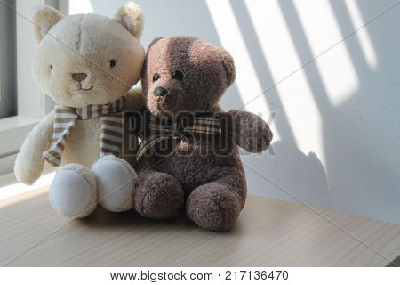 Bear and kitten toy sitting by the window in shadows