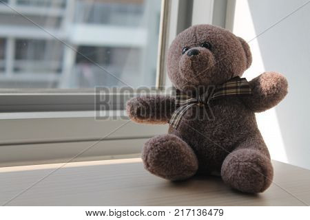 Brown Bear toy sitting by the window in shadows