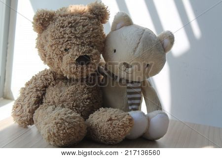 Brown Bear and kitten toy sitting by the window in shadows