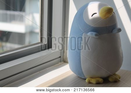 Blue penguin toy sitting by the window in shadows