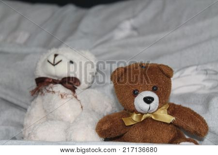 White and black Bears toy sitting on the bed