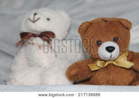 White and brown Bears toy sitting on the bed