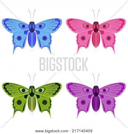 Vector image of four butterflies in different color versions