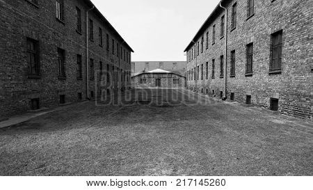 AUSCHWITZ, POLAND - March 30 2012: remains of barracks in Birkenau, Treblinka 2.