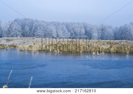 Morning landscape pond in a frosty winter morning