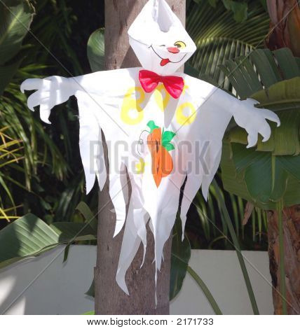 tropische ghost