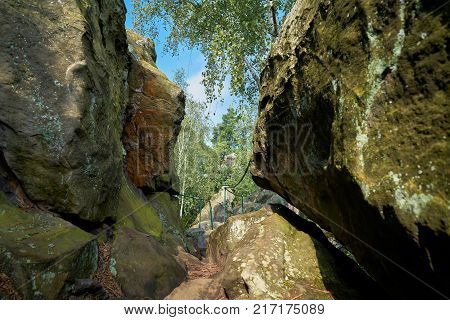 Hiking trail on the Teufelsmauer between Timmenrode and Blankenburg in the Harz National Park