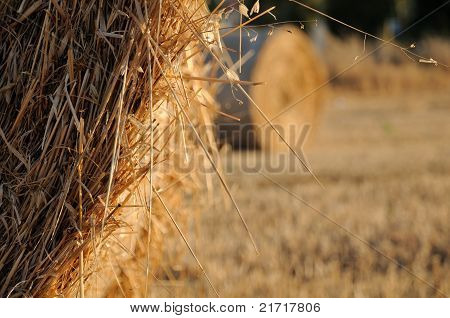 pacas de heno en la puesta de sol del país