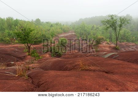 Badlands on foggy day in  Cheltenham, Ontario