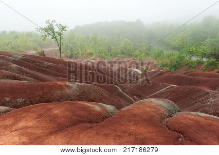 Foggy day at Cheltenham Badlands in Ontario