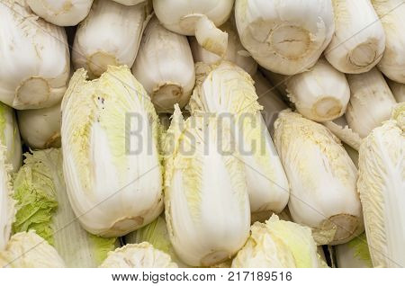 Napa or nappa cabbage is a type of Chinese cabbage originating near the Beijing region of China, and is widely used in East Asian cuisine.