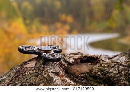 spinner in the forest lies on a birch tree in the background is winding river Park