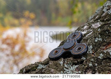 birch it is a black rusty spinner, outdoor in the woods
