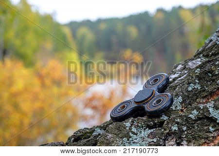 in the woods under the open sky lies on the birch spinner, away river
