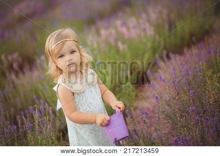 Cute Little Baby Blong Girl Walking Posing On Meadow Of Forest Wild Lavender Wearing Stylish White D