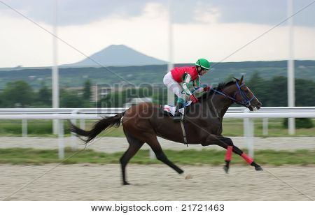 Courses de chevaux.