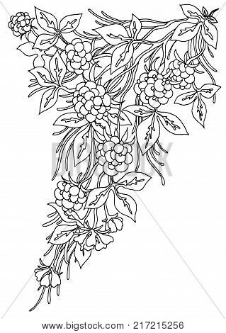 Background with flowers and plants. Black and white doodle vector illustration. Coloring book for adult and older children. Coloring page. Outline drawing.