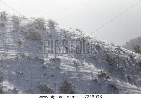 snowy slopes of the Tien Shan Mountains .