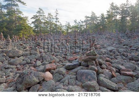 Area In The Pine Forest Covered With Many Mysterious Piles Of Stones In The Village Geta On The Isla