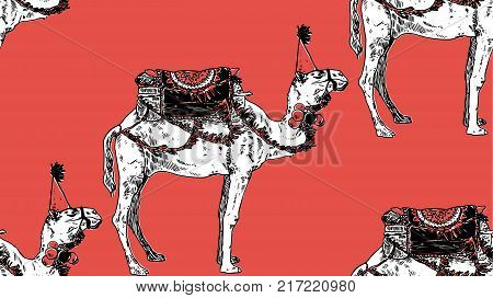 Seamless new year camel pattern. Vector illustration