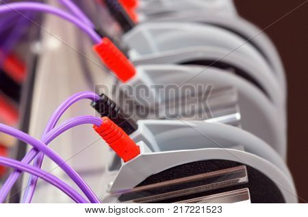 The procedure of myostimulation in a beauty salon. Caring for the body reducing excess weight.