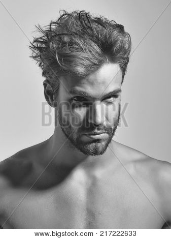 Handsome man sexy young blond bearded male model with beard topless with nude torso and sexi body on grey background