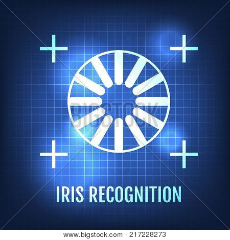 Iris Recognition Concept Icon. Eye Identification. Vector Illustration.