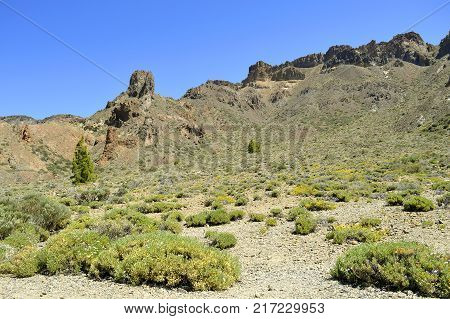 Boca Tauce in Mount Teide National Park Tenerife
