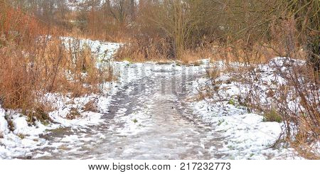 Road in park at winter at cloud day Russia.