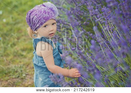 Young beauty child girl posing in central park meadow close to lavander bush wearing jeans dress and violet purple bandana with mystic brown eyes.