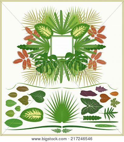 Set of nature leaves. Tropical ornament. Vector set.