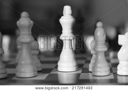 White chess quenn stands out against the background on a chess board