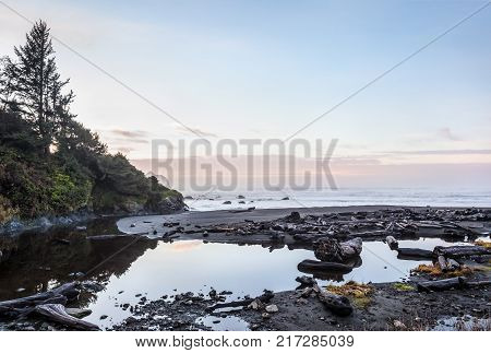 Lagoon Creek shore near Klamath Northen California